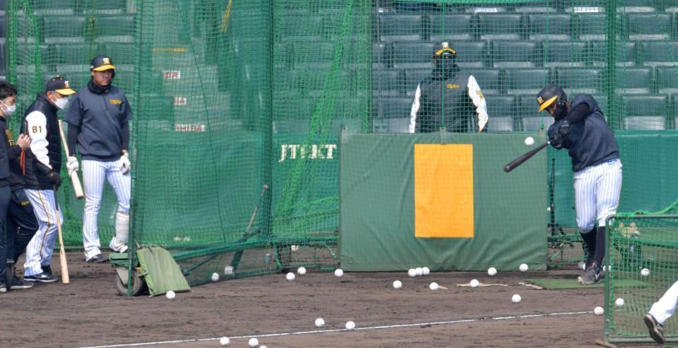　藤井康コーチ（８１）の前で打撃練習するロハス