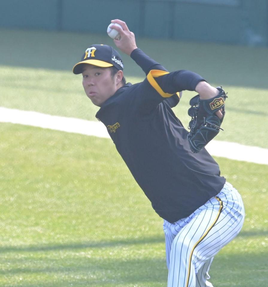 試合前、キャッチボールする青柳（撮影・高部洋祐）