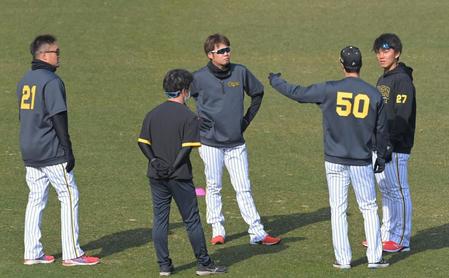 　練習中、話し合う（左から）秋山、（１人飛ばして）西勇、青柳、伊藤将（撮影・高部洋祐）