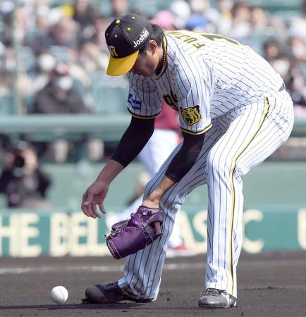 　１回、犠打をはじく藤浪（撮影・田中太一）