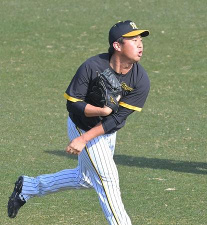 　試合前にキャッチボールする桐敷（撮影・高部洋祐）