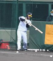 　打撃練習する中野（撮影・石井剣太郎）