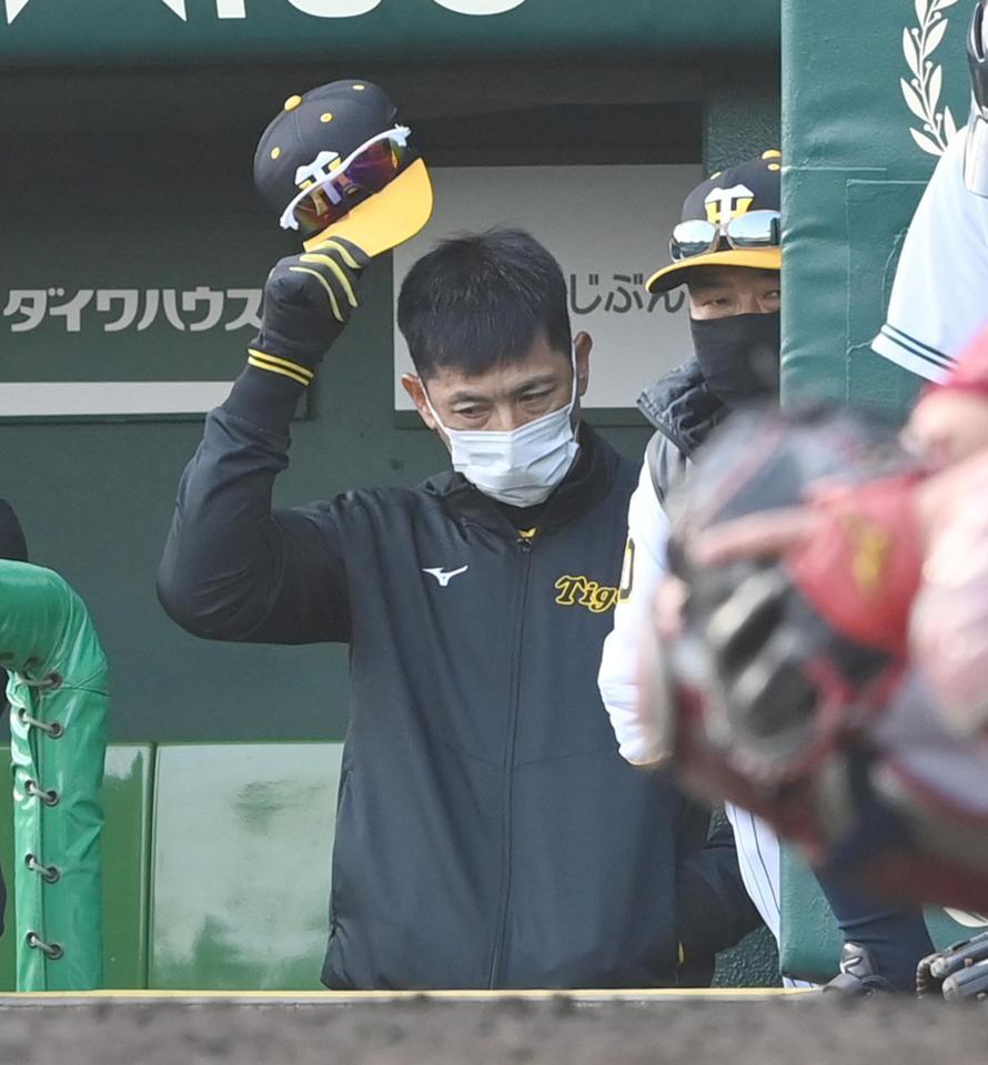 　ベンチで頭を悩ます矢野監督（撮影・飯室逸平）