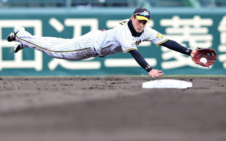 ４回、楽天・和田恋の打球に飛びついて好捕する阪神・木浪聖也＝甲子園（撮影・田中太一）