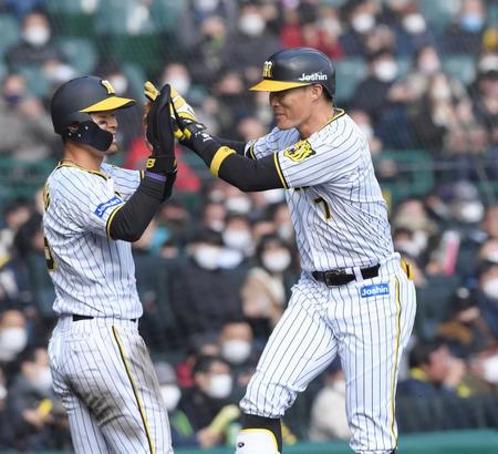 佐藤輝（左）に迎えられタッチする糸井（撮影・田中太一）