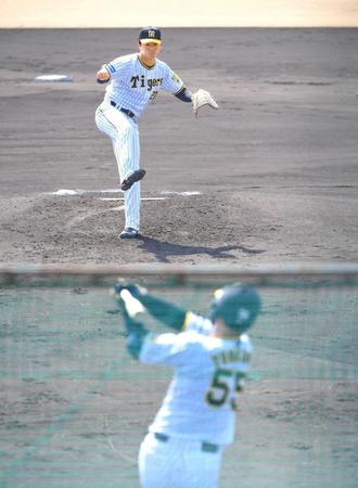 　シート打撃で陽川（手前）を空振り三振に仕留める森木（撮影・北村雅宏）