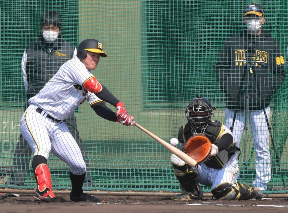 　シート打撃でボールに食らいつく前川。右奥は矢野監督（撮影・北村雅宏）