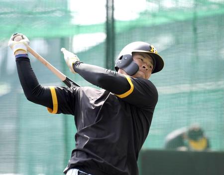 　ティー打撃でバットを振り込む佐藤輝（撮影・山口登）