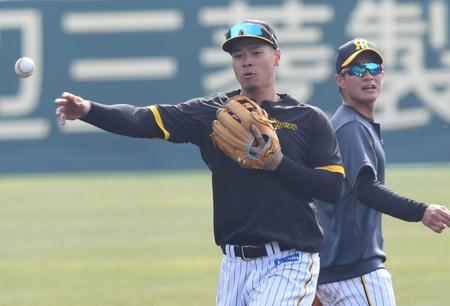 　試合前、二塁で守備練習をする佐藤輝（撮影・田中太一）