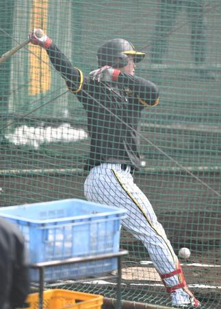 　打撃練習する前川（撮影・石井剣太郎）