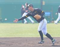 　試合前、セカンドの位置でノックを受け、ボールを二塁にトスする佐藤輝（撮影・高部洋祐）