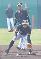 　試合前、小幡（奥）と共にセカンドの位置でノックを受ける佐藤輝（撮影・高部洋祐）