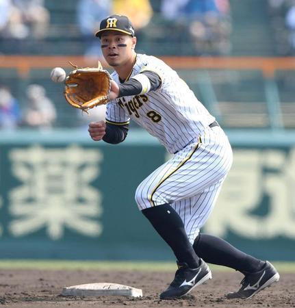 ４番二塁で出場する佐藤輝（撮影・田中太一）