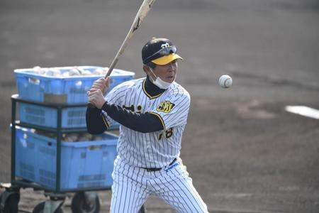 　自らノックを打つ平田２軍監督（撮影・石井剣太郎）