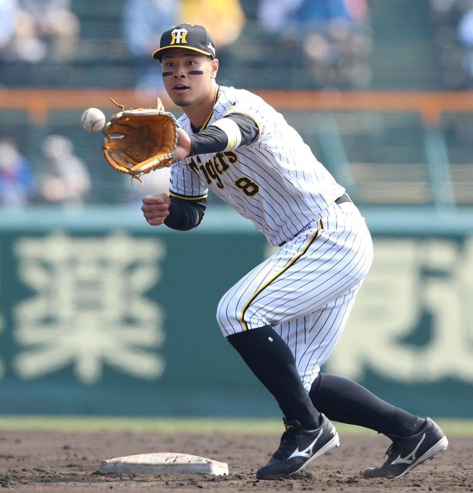 ４番二塁で出場する佐藤輝（撮影・田中太一）