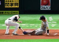 　１回、糸原は松本（左）の暴投で生還する（撮影・山口登）