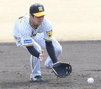 　５回、遊撃を守る中野は打球をさばく（撮影・田中太一）