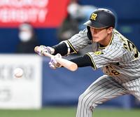 　７回、送りバントを決める小幡（撮影・飯室逸平）