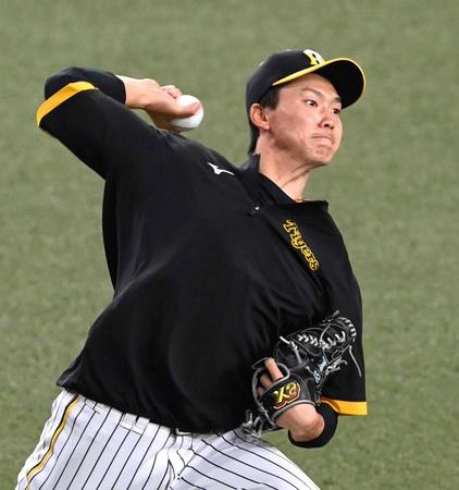 　キャッチボールする湯浅（撮影・山口登）