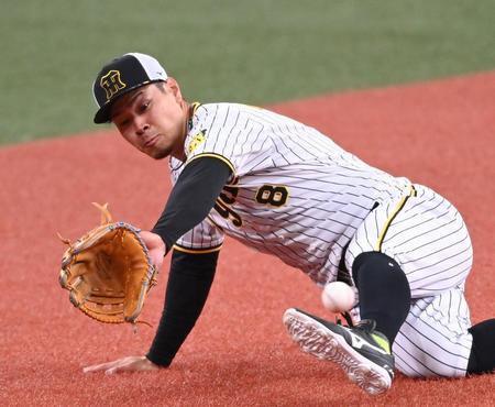 　ノックを受ける佐藤輝はボールに食らいつく（撮影・田中太一）