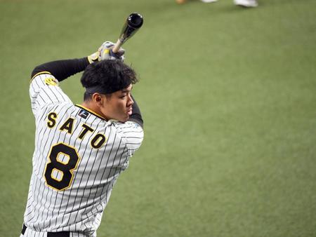 　打撃練習をする佐藤輝（撮影・田中太一）