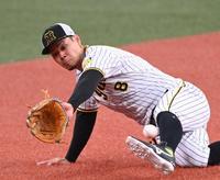 　ノックを受ける佐藤輝はボールに食らいつく（撮影・田中太一）