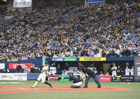 　４回、バットを折られ内野ゴロに倒れる佐藤輝（撮影・飯室逸平）