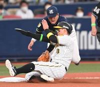 　滑り込む佐藤輝は村上の捕球ミスを誘う（撮影・田中太一）