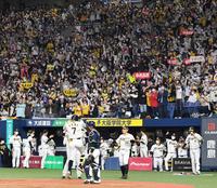 　４回、糸井の２ランに歓喜するタイガースファン（撮影・飯室逸平）