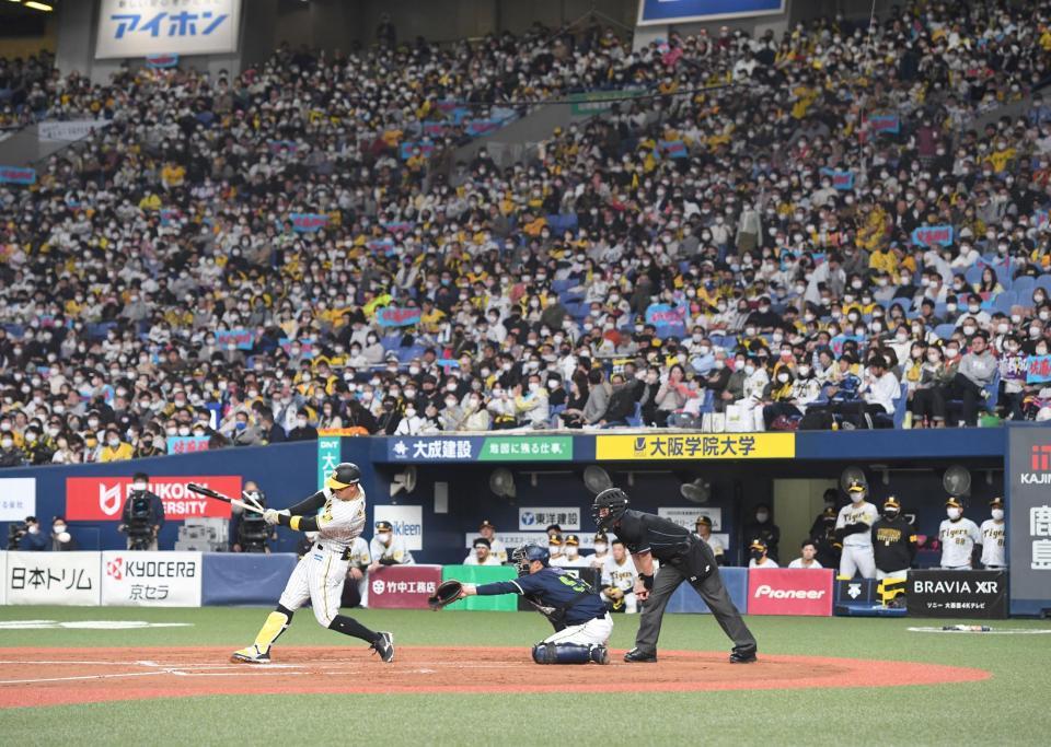 　４回、バットを折られ内野ゴロに倒れる佐藤輝（撮影・飯室逸平）