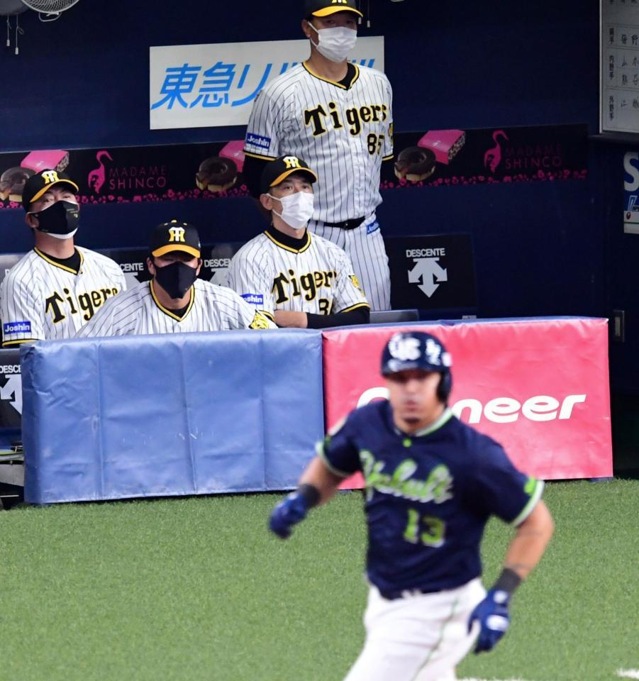 　９回、オスナに２ランを打たれ、矢野監督（中央）は腕組みして打球を見つめる（撮影・山口登）