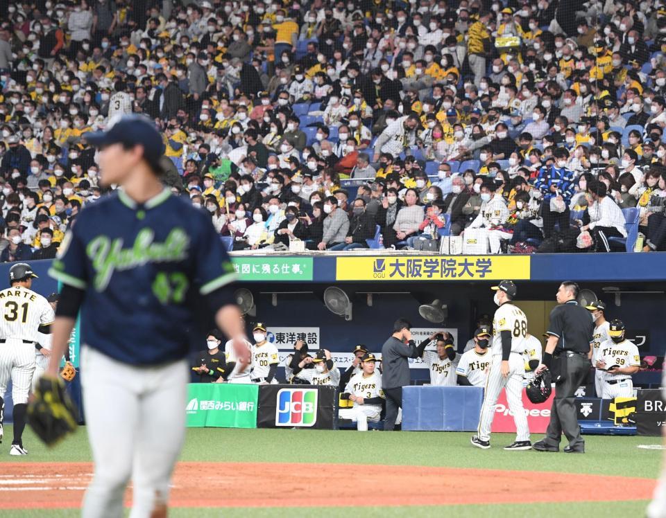 　高橋の前に沈黙の阪神ナイン（撮影・飯室逸平）