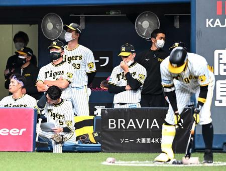 　ベンチで冴えない表情の矢野監督（中央）＝撮影・飯室逸平