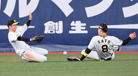 　７回、塩見の打球に追いつけずランニングホームランを許す近本（左）と佐藤輝（撮影・田中太一）