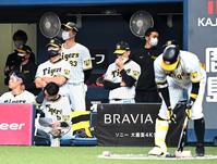 　ベンチで冴えない表情の矢野監督（中央）＝撮影・飯室逸平