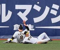 阪神タイガースの主軸、近本光二選手と佐藤輝明選手のボブルヘッドセット Amazon.co.jp: 阪神タイガースの主軸、近本二選手と佐藤輝明選手