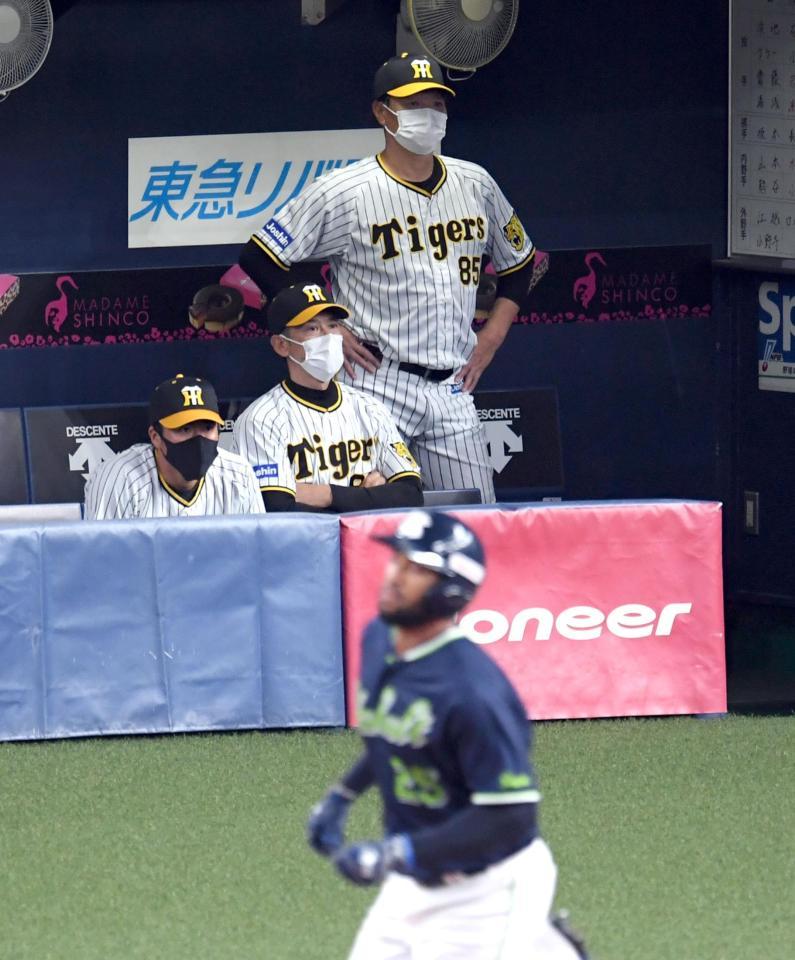 　２回、サンタナに先制ソロを打たれ、ベンチの矢野監督は厳しい表情を見せる（撮影・山口登）