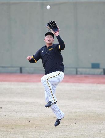 守備練習する井上＝鳴尾浜球場（撮影・石井剣太郎）