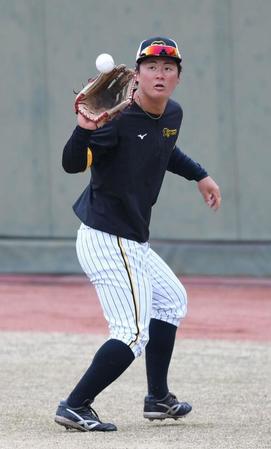 守備練習する前川＝鳴尾浜球場（撮影・石井剣太郎）