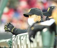 ベンチから戦況を見守る矢野監督（撮影・飯室逸平）