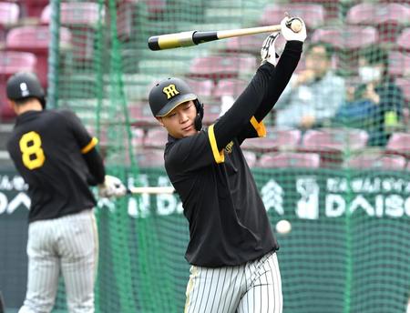 　打撃練習する大山（撮影・飯室逸平）
