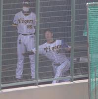 　ブルペンで投げ込む青柳（撮影・坂部計介）