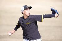 　キャッチボールをする青柳（撮影・坂部計介）