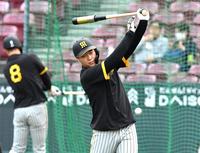 　打撃練習する大山（撮影・飯室逸平）