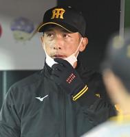 　ベンチで戦況を見守る矢野監督（撮影・飯室逸平）