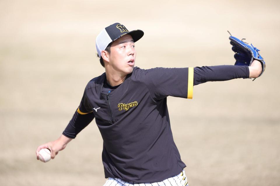 　キャッチボールをする青柳（撮影・坂部計介）