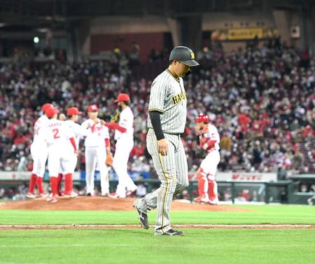 　９回、５連勝に沸くカープナインを背にベンチへ戻る大山（撮影・飯室逸平）