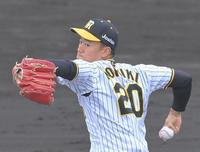 　力投する森木（撮影・高部洋祐）