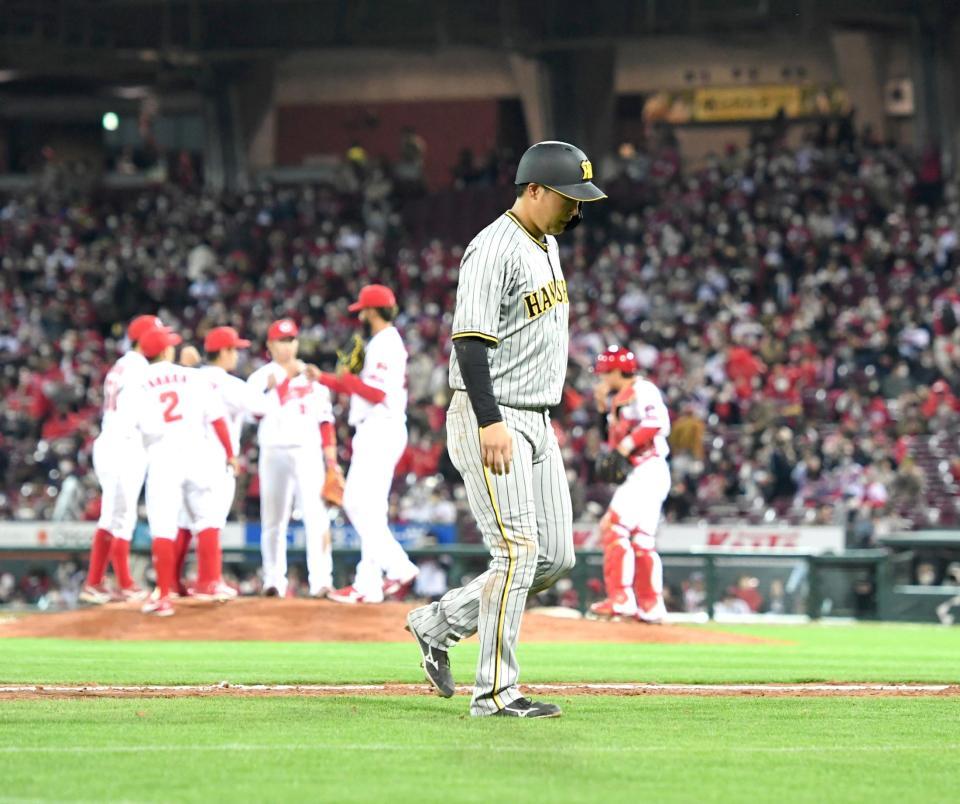 　９回、５連勝に沸くカープナインを背にベンチへ戻る大山（撮影・飯室逸平）