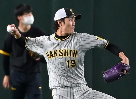 　キャッチボールで調整する藤浪（撮影・田中太一）